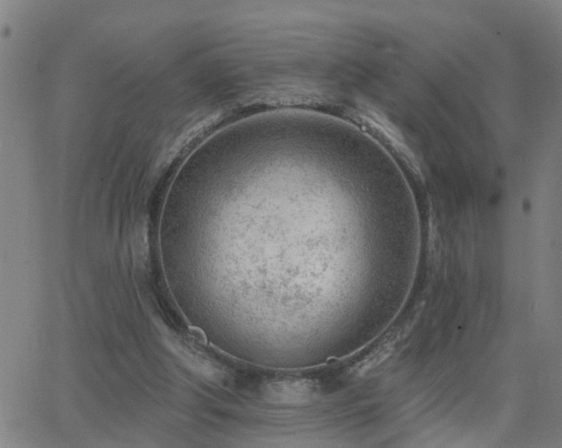 X0000062610202200512211145