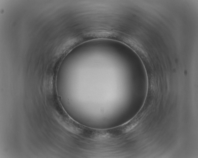 X0000062610206200512211145