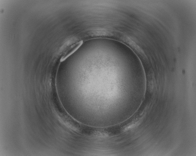 X0000062610207200512211145