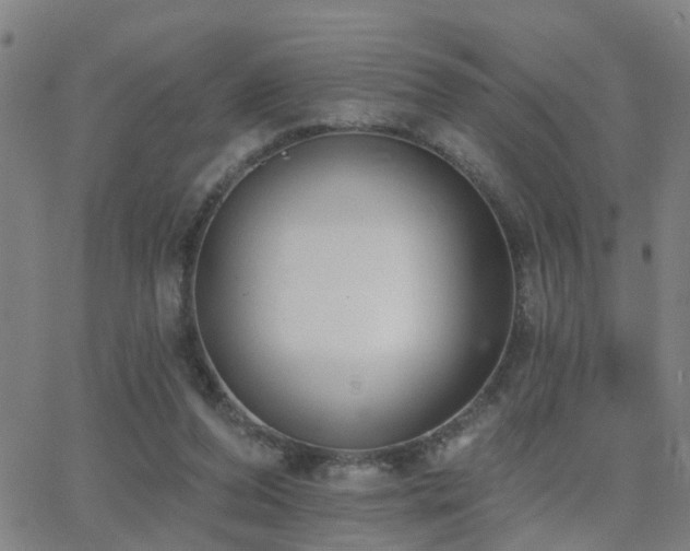 X0000062610208200512211145