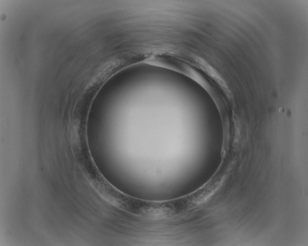 X0000062610209200512211145