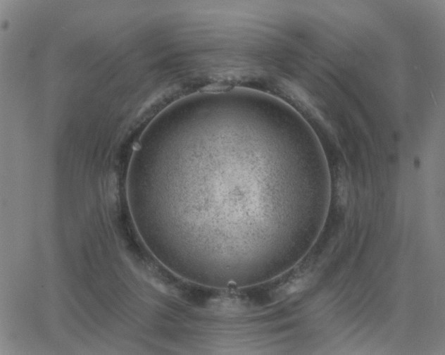 X0000062610211200512211145