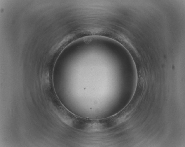 X0000062610212200512211145