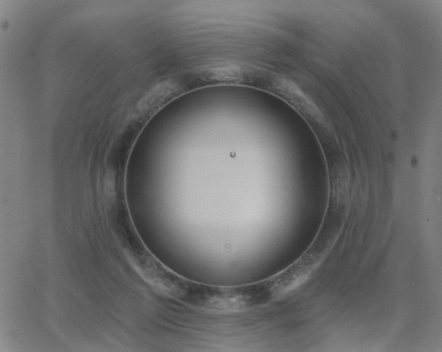 X0000062610213200512211145