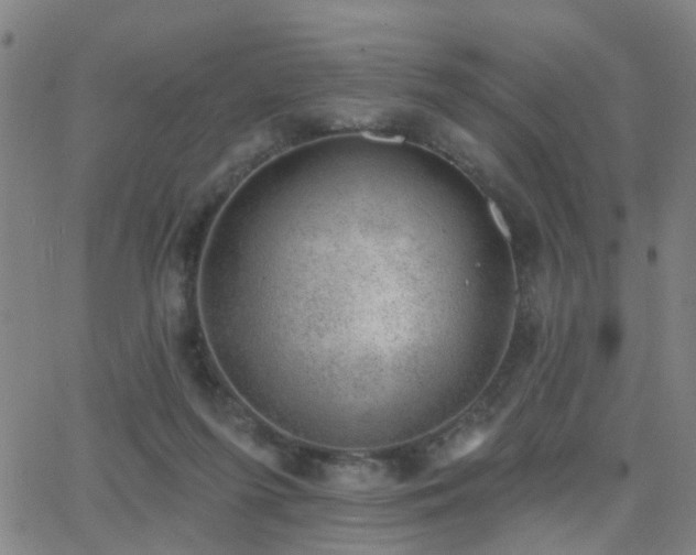 X0000062610215200512211145