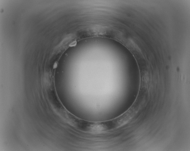 X0000062610218200512211145