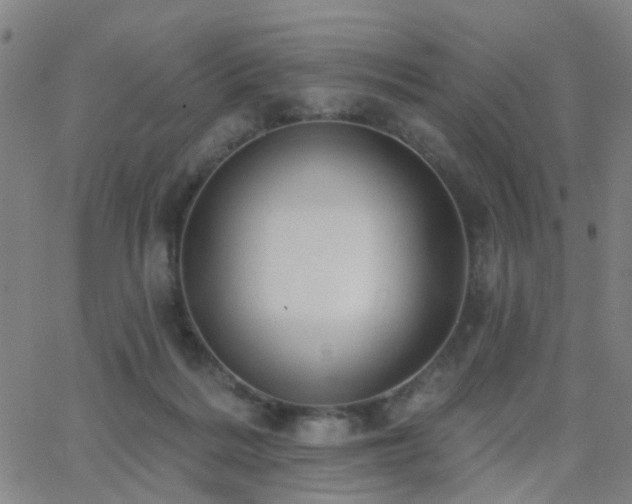 X0000062610220200512211145