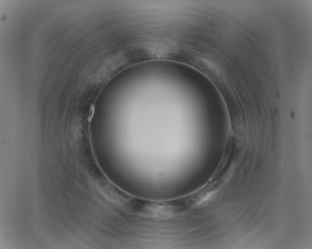 X0000062610221200512211145