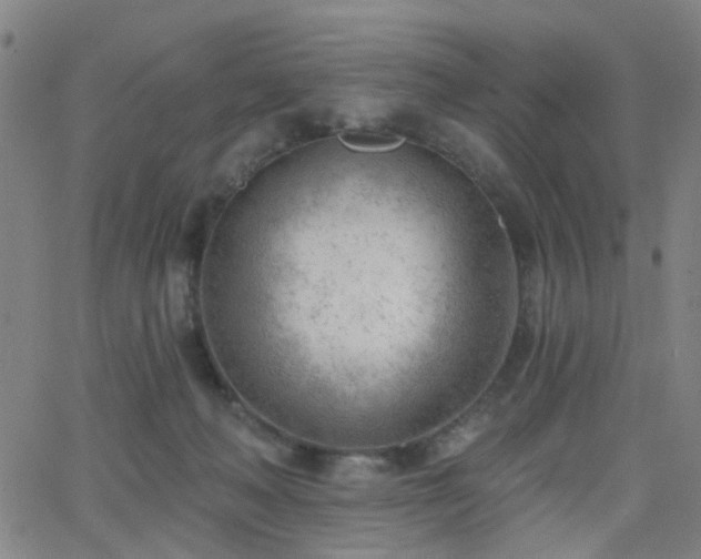 X0000062610222200512211145