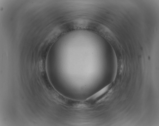 X0000062610224200512211145