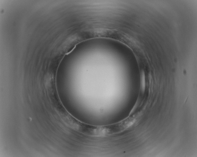 X0000062610225200512211145