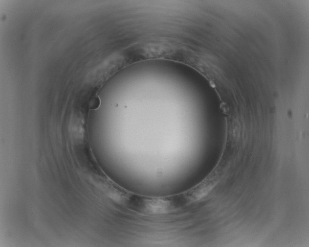 X0000062610226200512211145