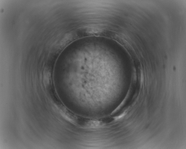 X0000062610227200512211145