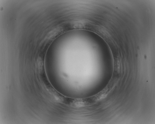 X0000062610228200512211145