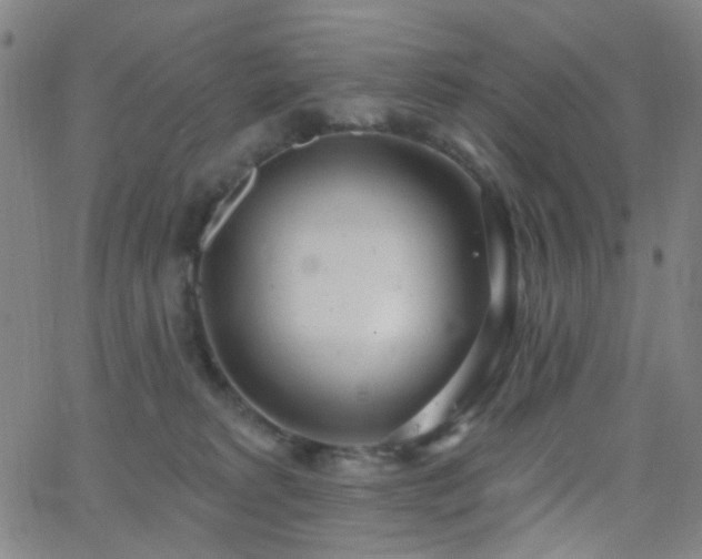 X0000062610229200512211145