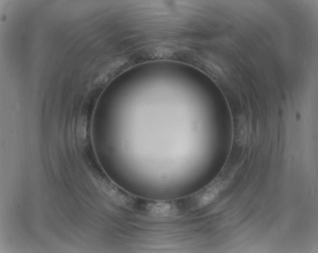 X0000062610230200512211145