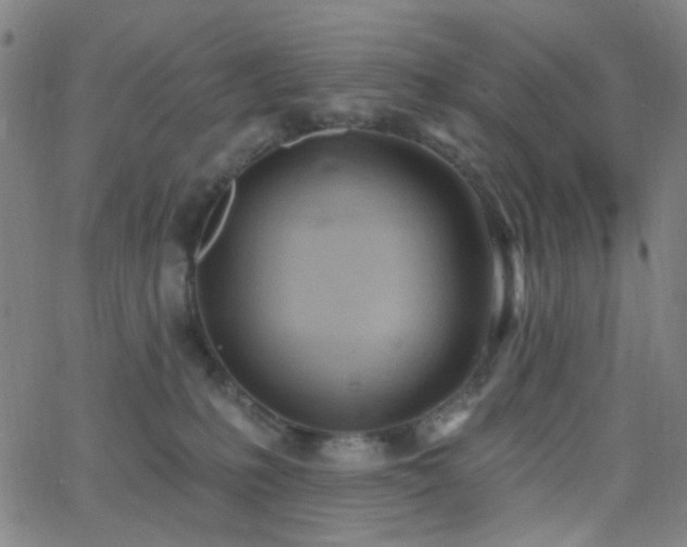 X0000062610231200512211145