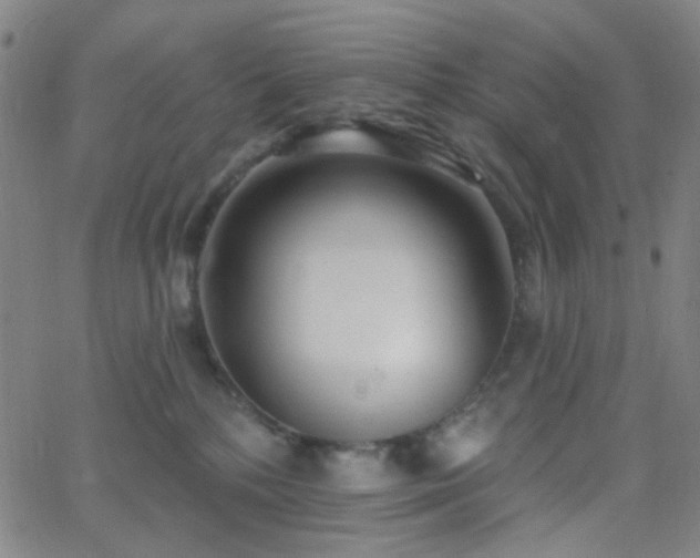 X0000062610232200512211145