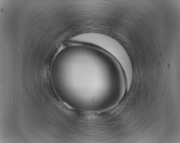 X0000062610233200512211145