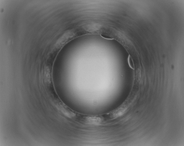 X0000062610234200512211145