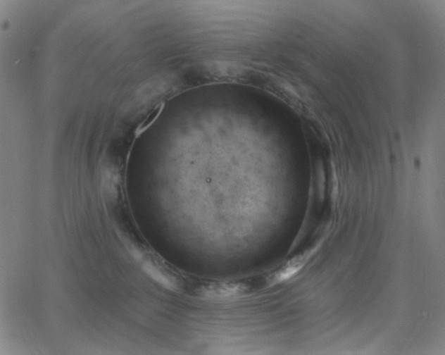 X0000062610235200512211145