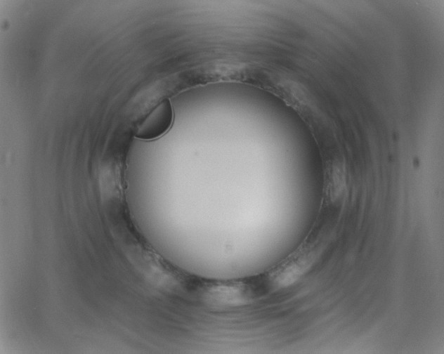 X0000062610236200512211145