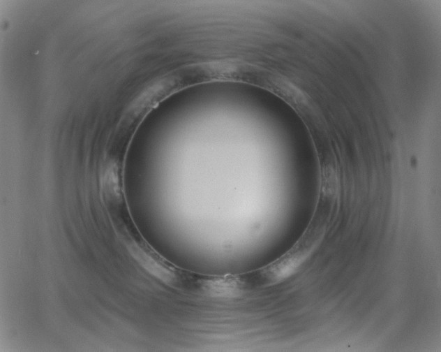 X0000062610238200512211145