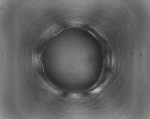 X0000062610239200512211145