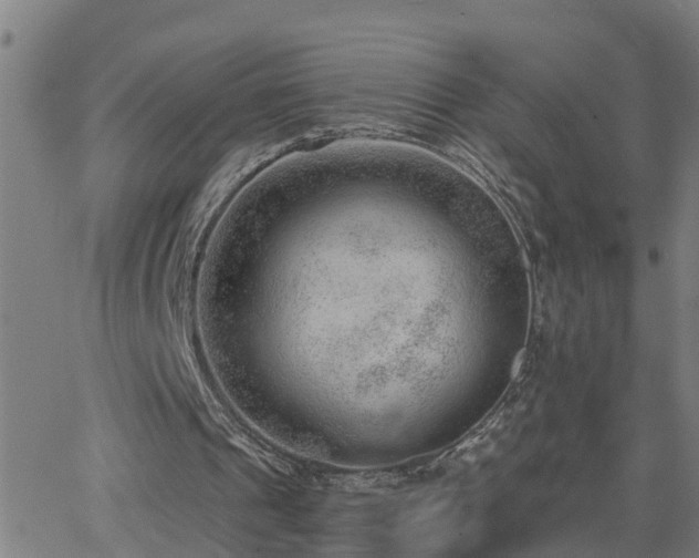 X0000062610241200512211144