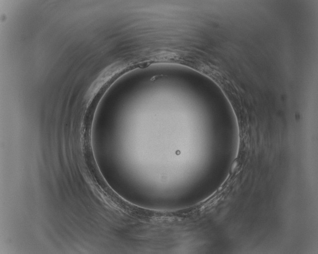 X0000062610242200512211144