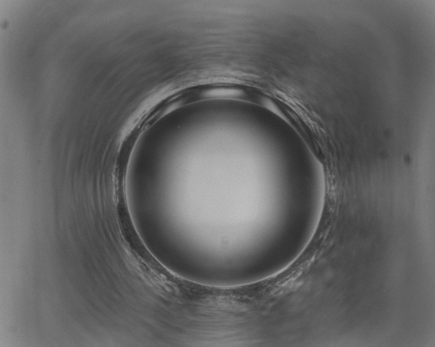 X0000062610244200512211144