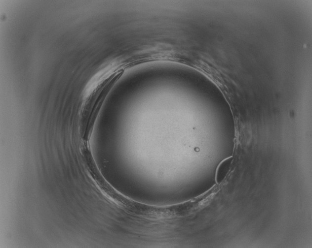 X0000062610245200512211144