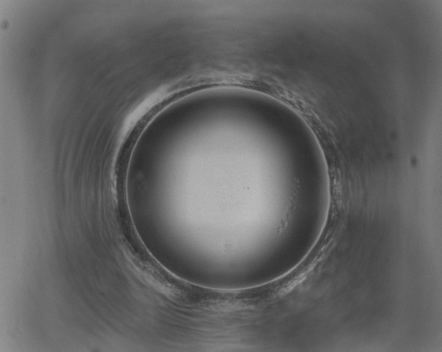 X0000062610246200512211144