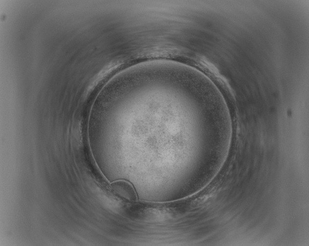 X0000062610250200512211144