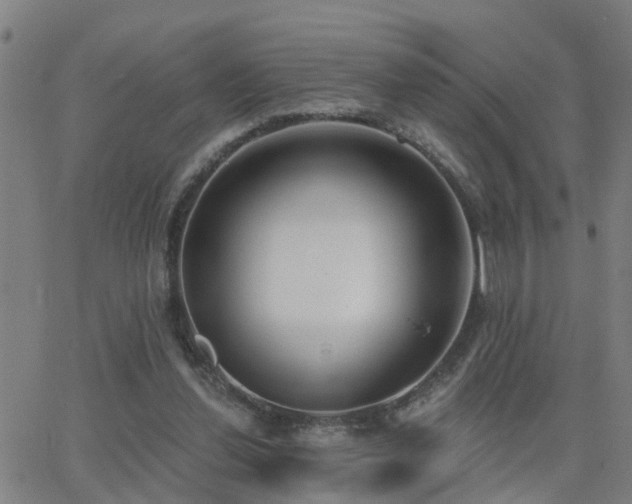 X0000062610252200512211144