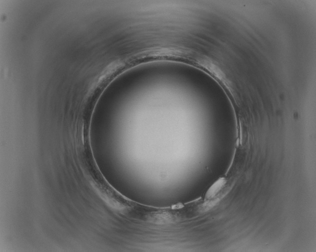 X0000062610253200512211144