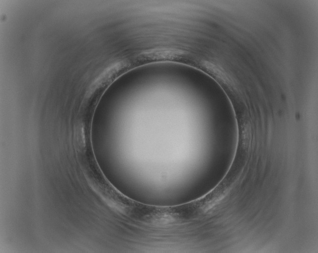 X0000062610254200512211144