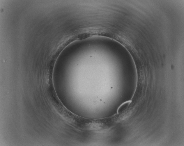 X0000062610255200512211144