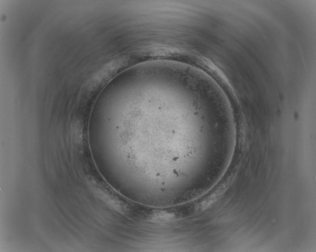 X0000062610257200512211144