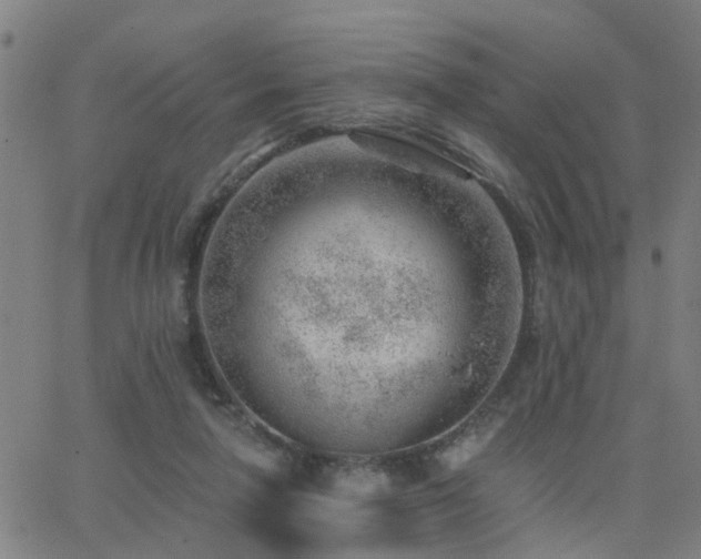 X0000062610258200512211144