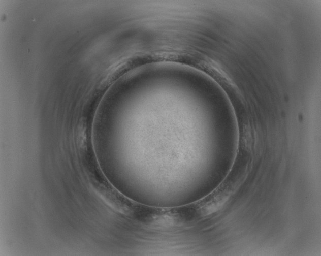 X0000062610259200512211144