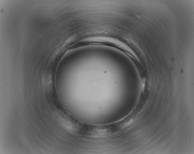 X0000062610260200512211144