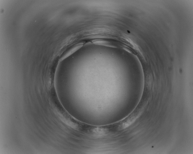 X0000062610261200512211144