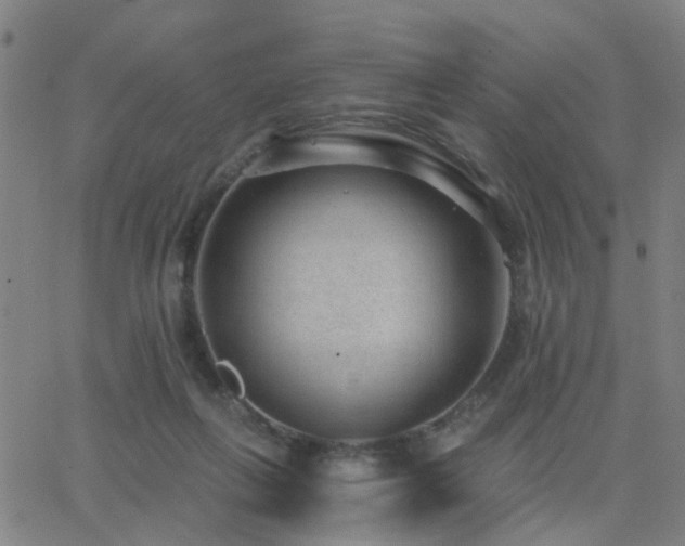 X0000062610263200512211144