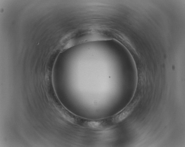 X0000062610265200512211144