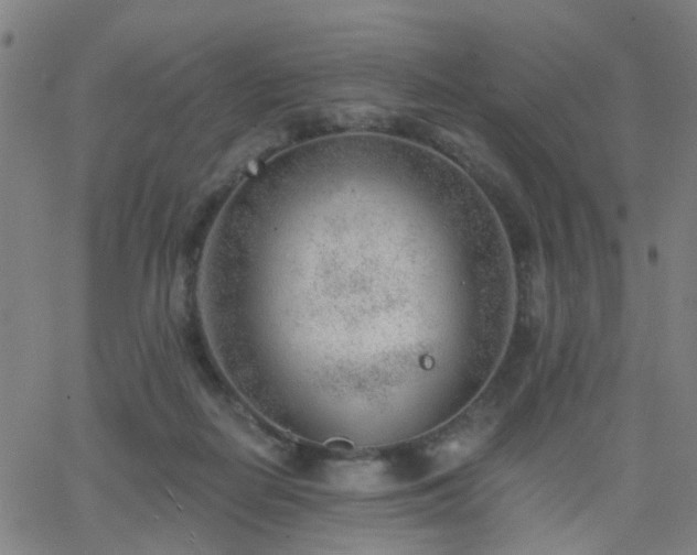 X0000062610266200512211144