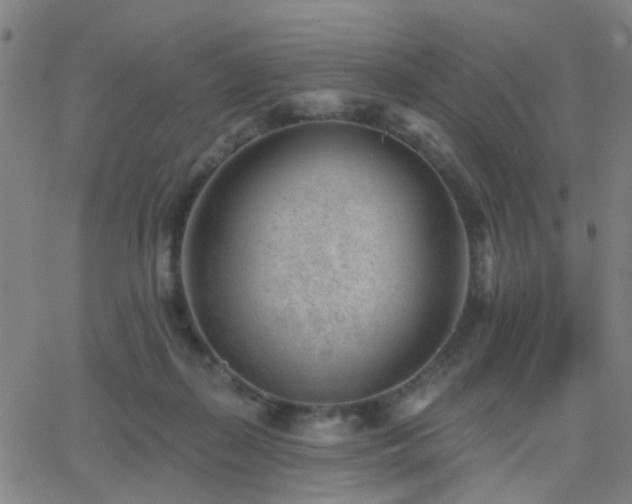 X0000062610267200512211144