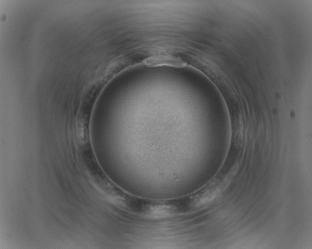 X0000062610268200512211144