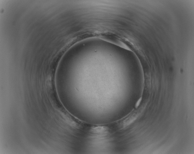 X0000062610269200512211144