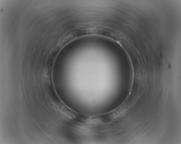 X0000062610270200512211144